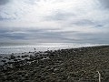 Carpinteria California 2010-02 0200